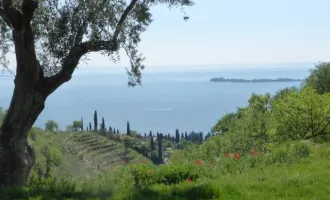 GARDASEE - TRAUMLAGE MIT PANORAMA-BLICK AM WESTUFER (GARDONE RIVIERA): RUSTICO & NEUBAU ZU VERKAUFEN