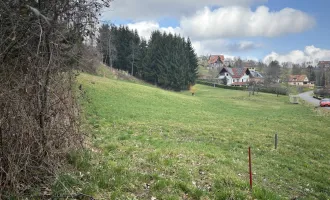 Große, sonnige landwirtschaftliche Fläche