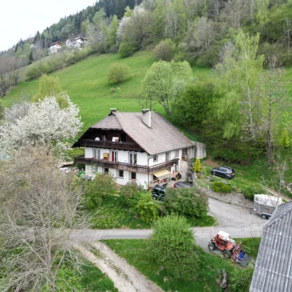 SEEBLICK in PANORAMALAGE - Wunderbarer BAUERNHOF in der Tourismusregion BAD KLEINKIRCHHEIM zu VERKAUFEN - Bild 2