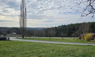 Großes Grundstück mit Weinpflanzkontingent