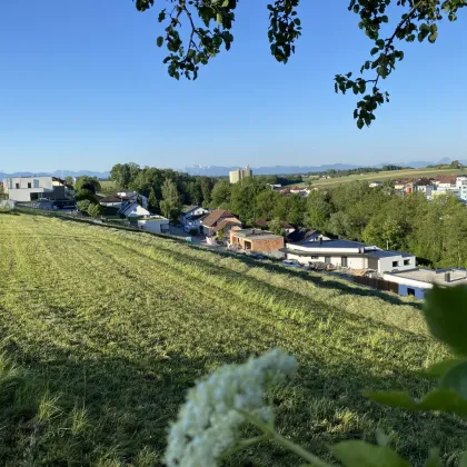 Neuer Preis - jetzt zugreifen ! Grundstück in der schönsten Wohnlage von St. Marien - Bild 2