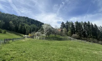 *** kleine Landwirtschaft mit Stallgebäude & Blockhaus ***