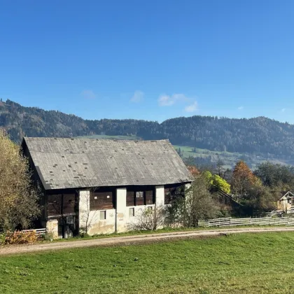 Kleinlandwirtschaft mit Panoramalage im Murtal - Bild 3