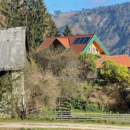 Kleinlandwirtschaft mit Panoramalage im Murtal - Bild 2