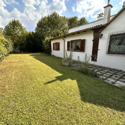 Wiener Neustadt - Ruhelage - gepflegter Bungalow für kleine Familien - Bild 2