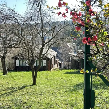 CHARMANTES GRUNDSTÜCK MIT ALTBESTAND AM FUSSE DER WEINBERGE - Bild 3