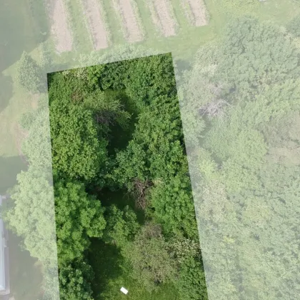 CHARMANTES GRUNDSTÜCK MIT ALTBESTAND AM FUSSE DER WEINBERGE - Bild 2