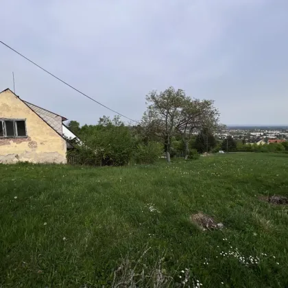 Mit Sicherheit eines der schönsten Grundstück in Baden — unverbaubarer Fernblick - Bild 2