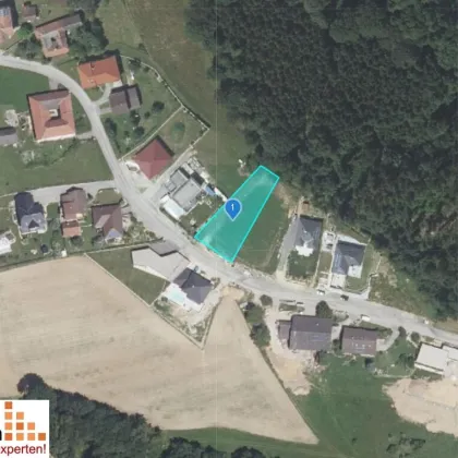 PROVISIONSFREI -  GRUNDSTÜCK 1.003 m² in wunderbarer Grünlage im Gemeindegebiet Ruprechtshofen! - Bild 2