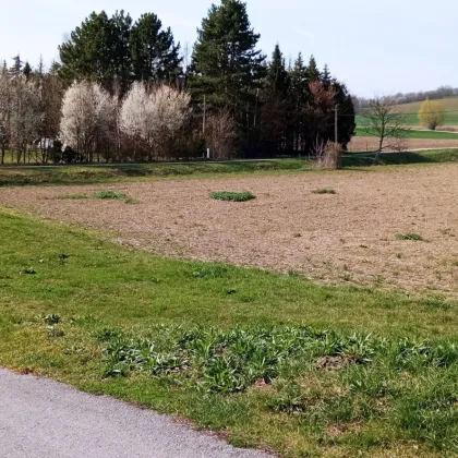 RARITÄT! Wunderschön gelegener Baugrund für Bauträger/Genossenschaften - Bild 2