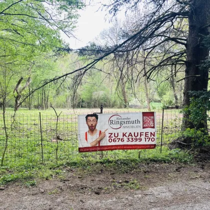 Schönes teilbares Baugrundstück im Grünen - Bild 3