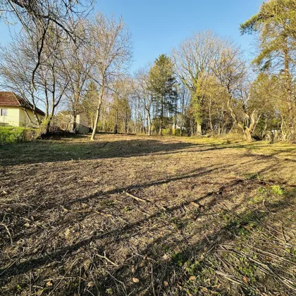 Schönes teilbares Baugrundstück im Grünen - Bild 2