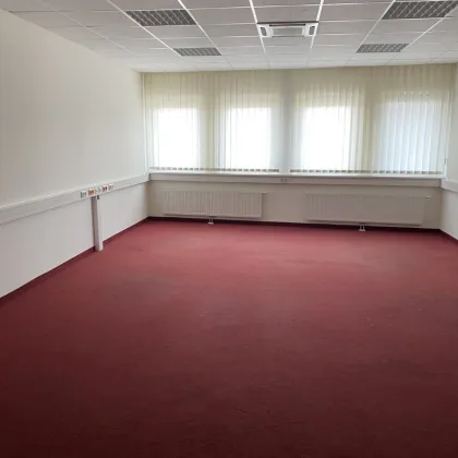 Modernes Büro mit 182 m²,  TG- und Freistellplätze vorhanden - Bild 2