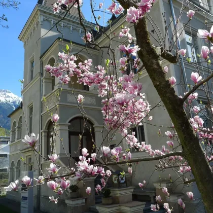 Ihr Immobilienmaklerbüro in Bestlage von Innsbruck, sehr gut erreichbar - Bild 3