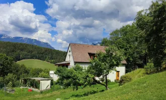 LANDWIRTSCHAFT IN ALLEINLAGE MIT 2 WOHNGEBÄUDEN MIT RAXBLICK ZU VERKAUFEN