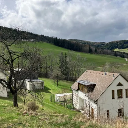 LANDWIRTSCHAFT IN ALLEINLAGE MIT 2 WOHNGEBÄUDEN MIT RAXBLICK ZU VERKAUFEN - Bild 3