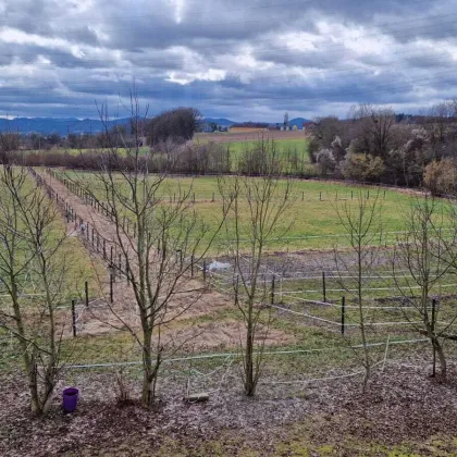 Pferdestall, Reitanlage inkl Wohnhaus und Koppeln, sanierungsbedürftig 5,5 ha Gesamtfläche - Bild 3