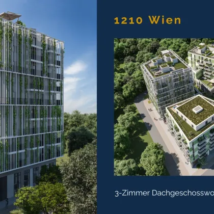 Traumhafte Dachgeschosswohnung mit riesiger Dachterrasse und Dachgarten - Erstbezug! - Bild 3