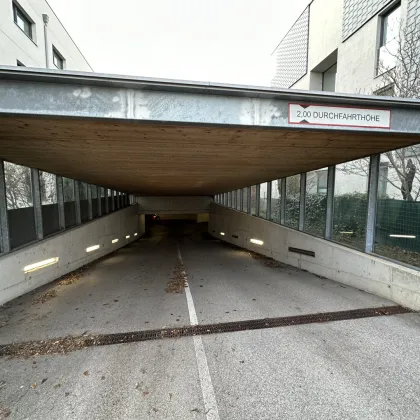 Stellplatz am Mühlweg - Bild 2