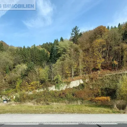 Traumgrundstück direkt an der Donau - Bild 3