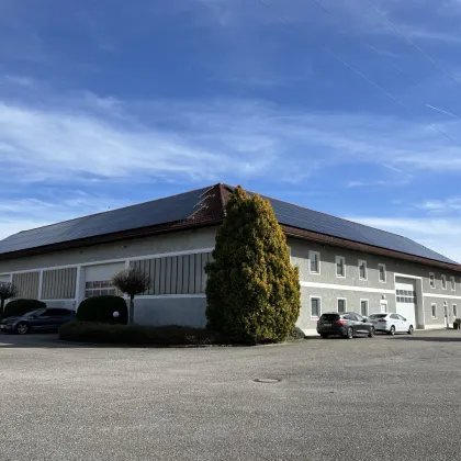 Lagerhalle mit Büro nähe A1 Autobahnanschluss Enns-West - Bild 3