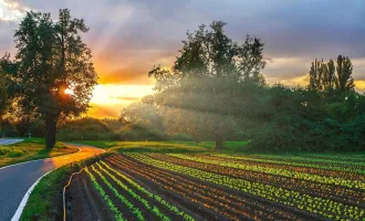 Schrebergarten-Paradies für Hobbygärtner zu verpachten!