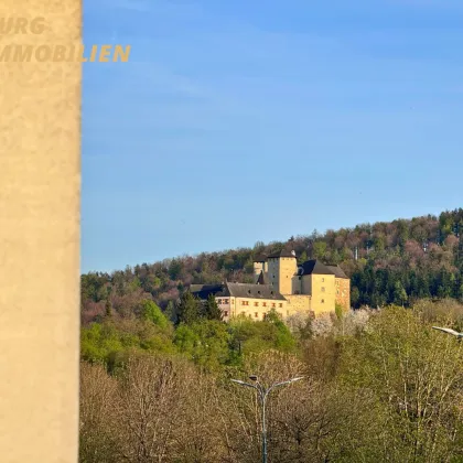 NEUER PREIS : Arbeiten & Wohnen, wo andere Urlaub machen mit BURGBLICK! - Bild 3