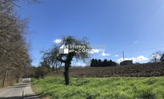 TOP - Lage.... Grundstück in Burgenlands schöner Thermenlandschaft