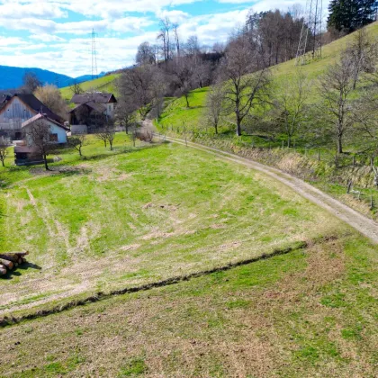 Idyllischer Baugrund | Grünlage | Ruhelage | Stadtnähe - Bild 2