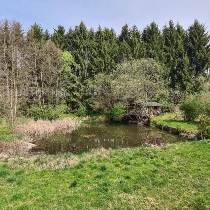 Ruheoase mit Kleinwohnhaus samt drei Teichen in sonniger Alleinlage an einer Sackgasse. - Bild 2