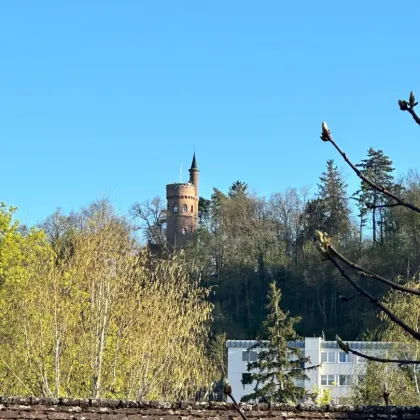 ***STADTVILLA zum Revitalisieren in BESTLAGE (Volksgartenstraße) - direkt an der TRAUN mit Aussicht auf die MARIENWARTE*** - Bild 2