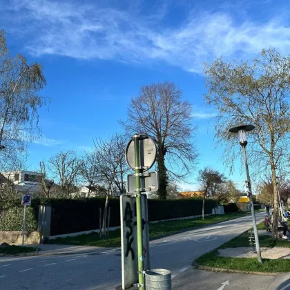 ***STADTVILLA zum Revitalisieren in BESTLAGE (Volksgartenstraße) - direkt an der TRAUN mit Aussicht auf die MARIENWARTE*** - Bild 3