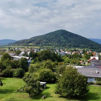 Familienglück in grüner Lage - Bild 2