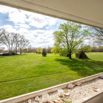 JETZT ZUSCHLAGEN! Seeblickidylle – Gemütliche 1-Zimmer-Wohnung mit großer Terrasse und Panoramablick - Bild 3