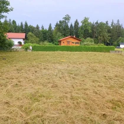 Wunderschönes, sonniges Grundstück in einer ruhigen Lage - nur ca. 10 Minuten von Graz entfernt! - Bild 3