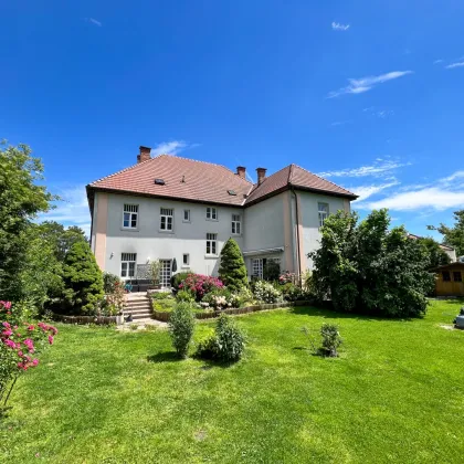 Familientraum/Kanzlei - Villa in Ebreichsdorf mit 1.856m² großen Grundstück - Bild 2