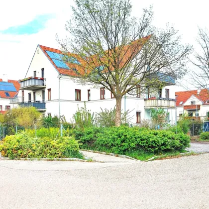 Dachgeschoßwohnung mit Balkon und Stellplatz - Garten und Natur inklusive! - Bild 2