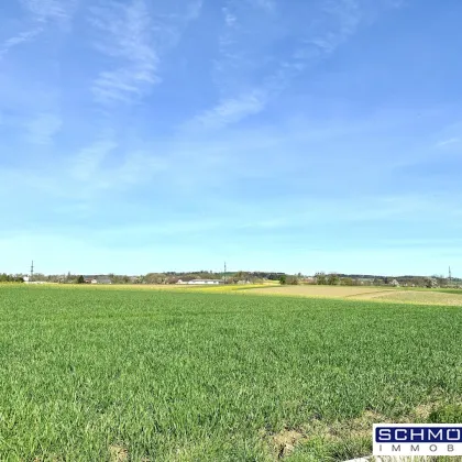 Leben am Land! Grundstück in Gunskirchen-Oberndorf - Bild 3