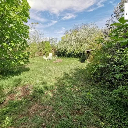 Hinaus in die Natur! Presshaus und Holzhaus mit großem Garten - Bild 2