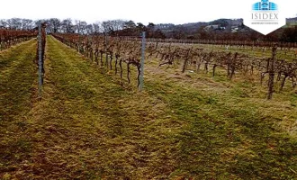 "Ihr Traum vom eigenen Weingut könnte bald wahr werden"