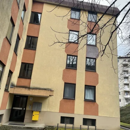 WG-taugliche Wohnung in zentraler Lage - Bild 2