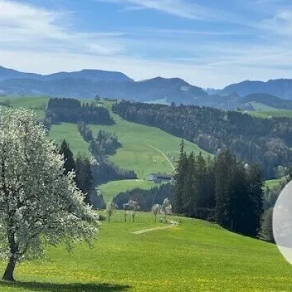 Apfelblüte im Mostviertel - Baugründe in wunderschöner, sonniger Lage! - Bild 2