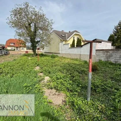 Frauenkirchen - Bauernhaus mit großem Grund - Bild 2