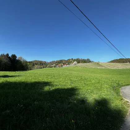 Malerisches Grundstück in Leibnitz/Fötschach in traumhafter Aussichtslage - Liegenschaft mit Altbestand - Bild 3