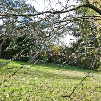 Idyllische Ruhelage am Südwesthang des Wolfersbergs - Bild 2