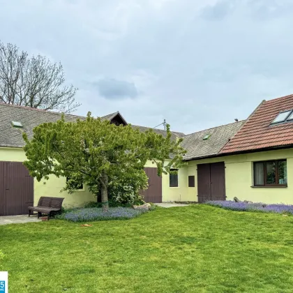 Haus mit Ausbaumöglichkeiten - 228 m² Wohnfläche - 1.327 m² Grundstück - ausbaubare Scheunen und Lagerräume - Bild 2