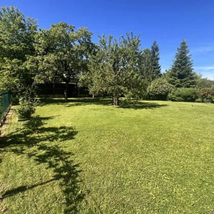 ++schönes, modernisiertes Bürohaus mit Garten in zentraler Lage++ - Bild 3