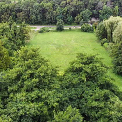 Nationalpark Neusiedler See - Beeindruckendes Grundstück mit ca. 5.825 m² in Top Lage / Randlage - Bild 2