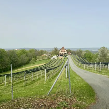 NÄHE DEMMERKOGEL: Landwirtschaftliches Anwesen mit Weingarten und Waldfläche in der steirischen Toskana - Bild 3