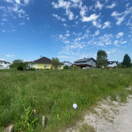 Baugrund für Eigenheim mit Grünblick | 720 m2 unverbaubar | in Seekirchen am Wallersee - Bild 3